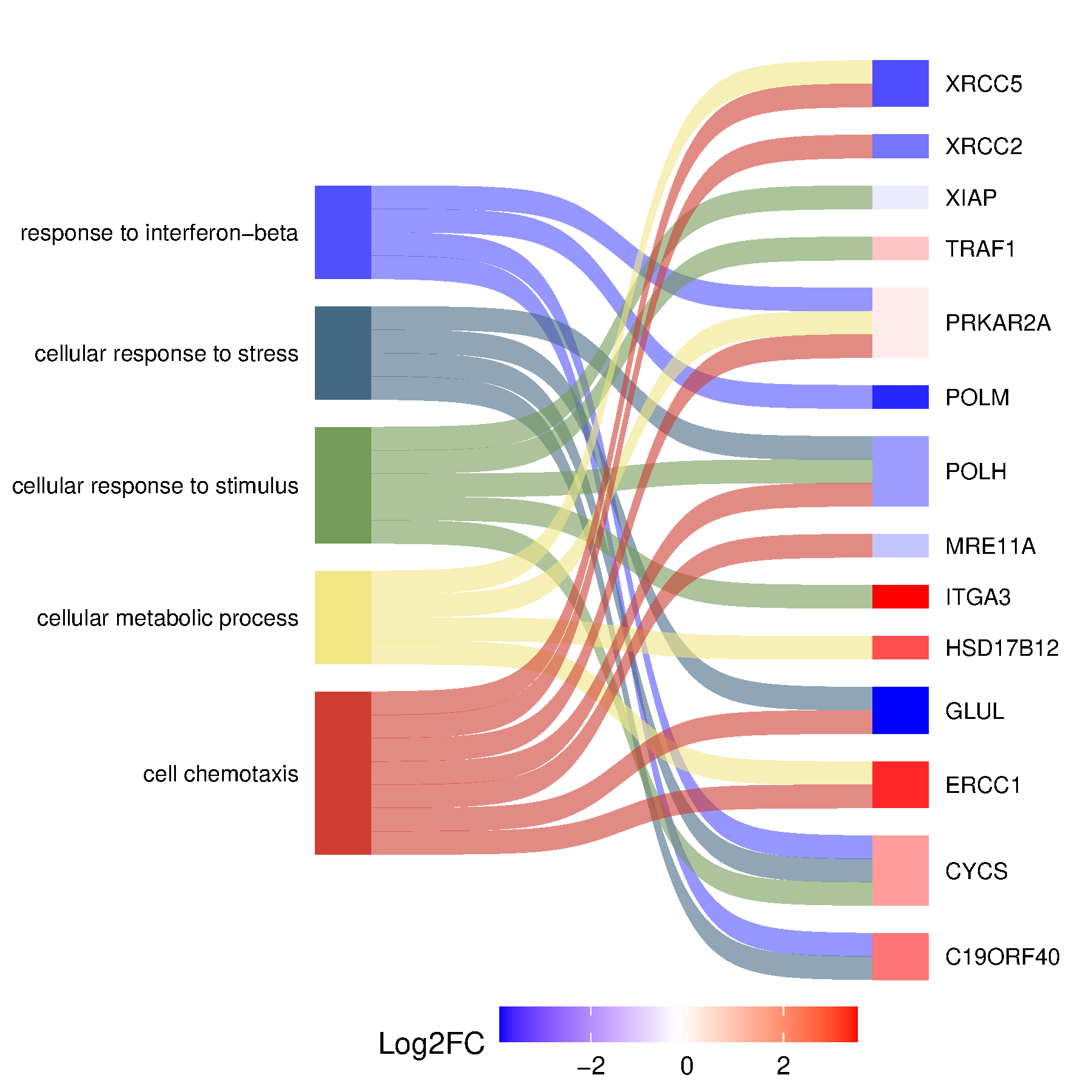 通用的占位符缩略图