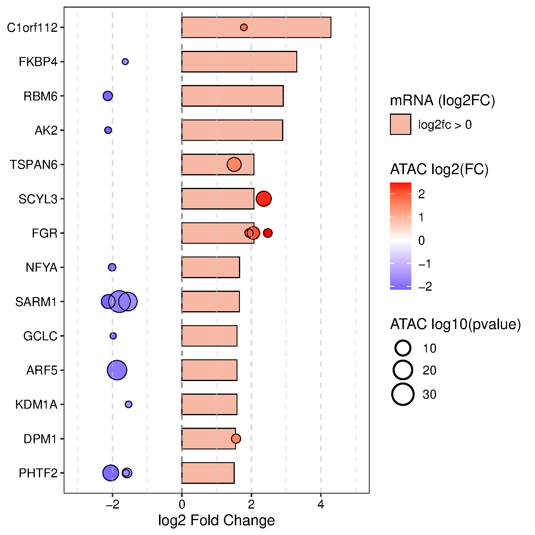 通用的占位符缩略图