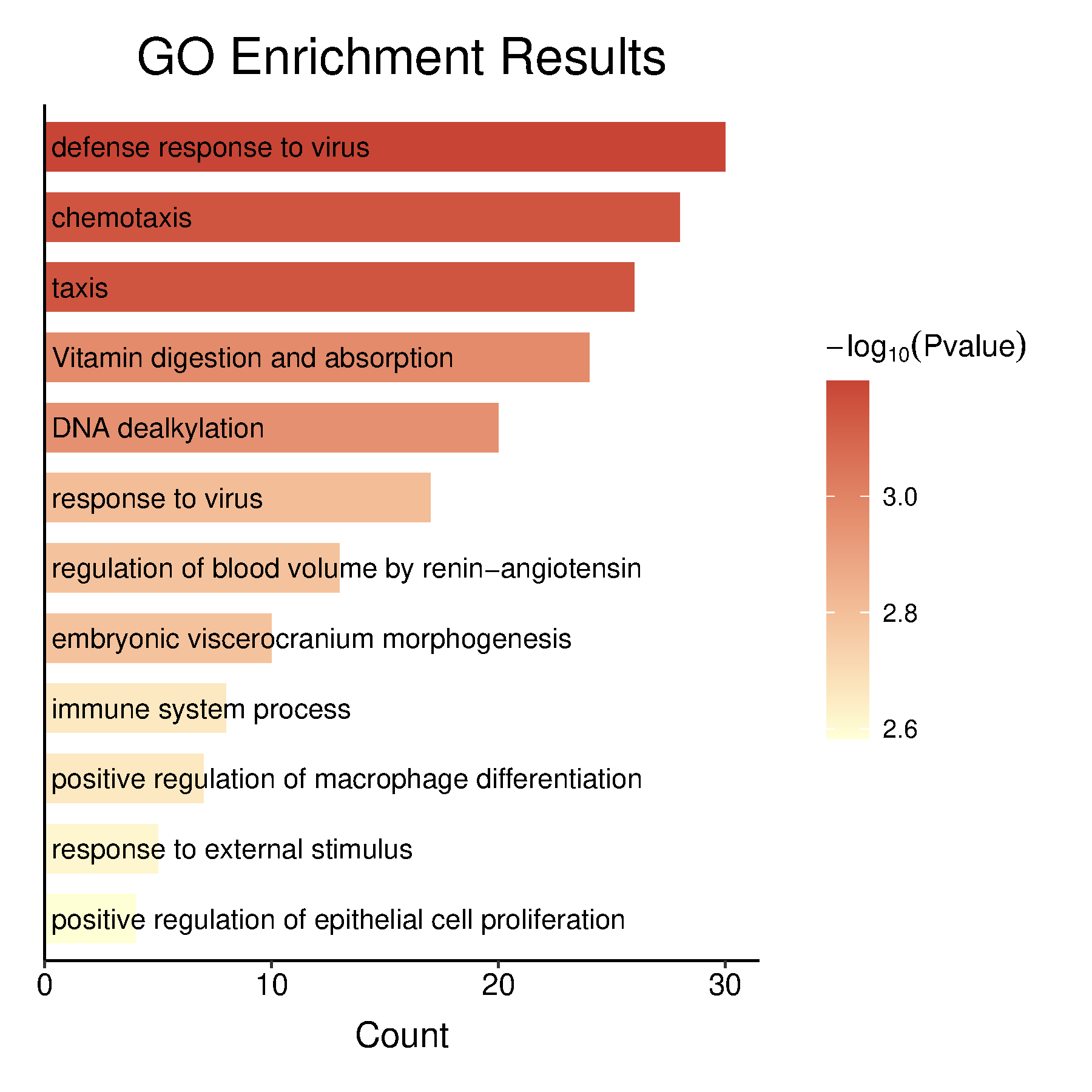 通用的占位符缩略图