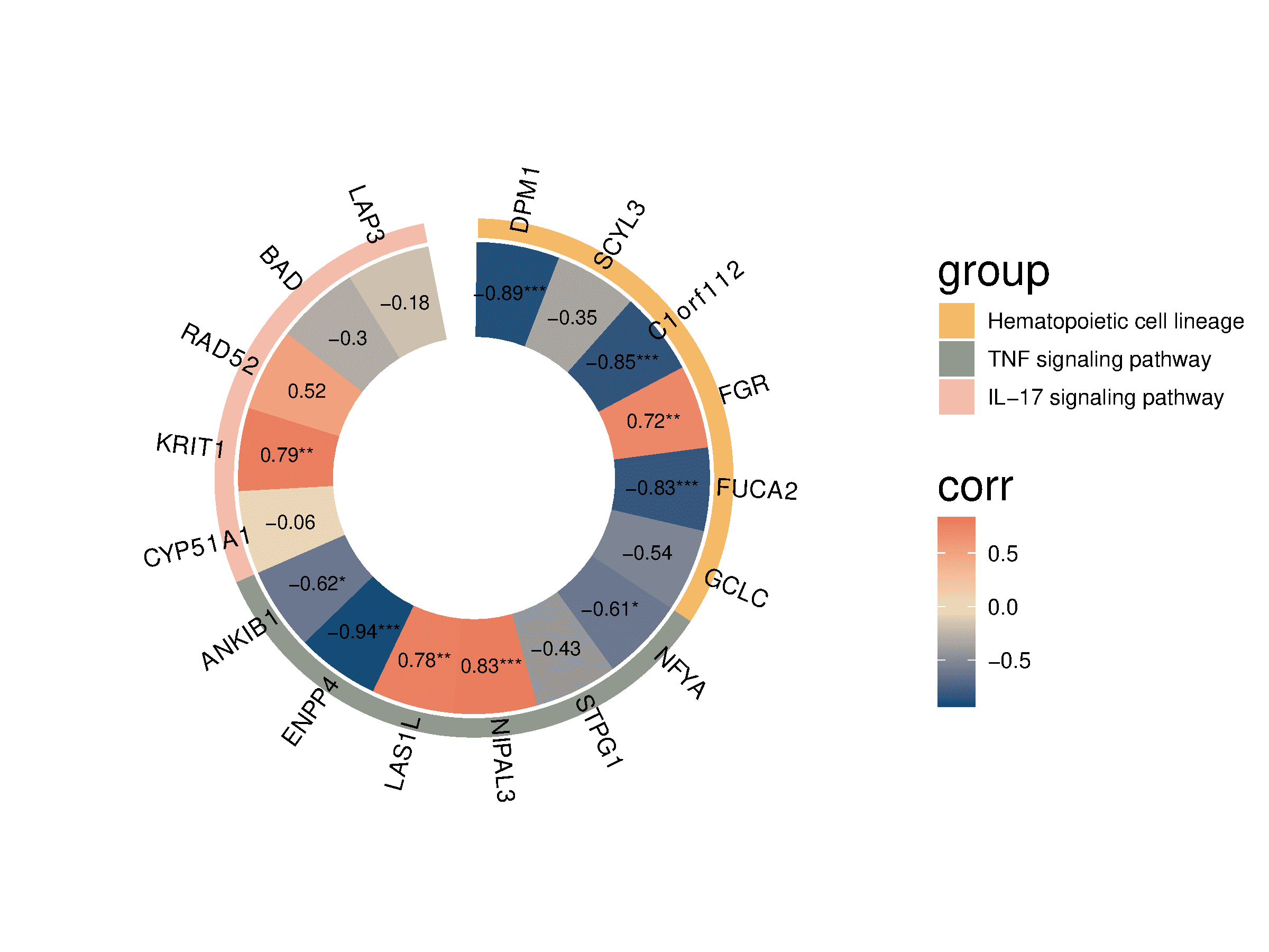 通用的占位符缩略图